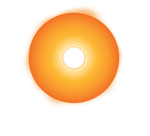 Oxsensis